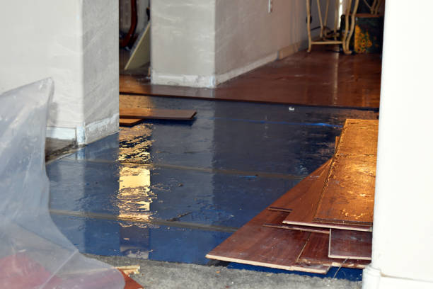 Professional Flood Cleanup technician working in Layland, WV